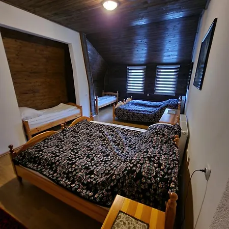 Apartman Winter Forest Vlasic *