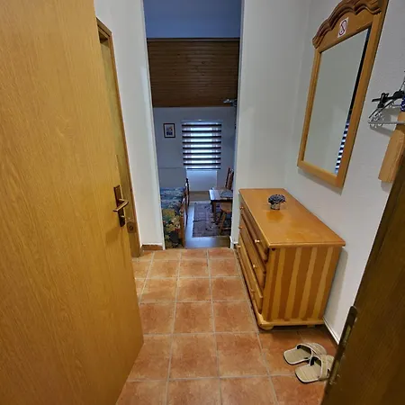 Apartman Winter Forest Vlasic *