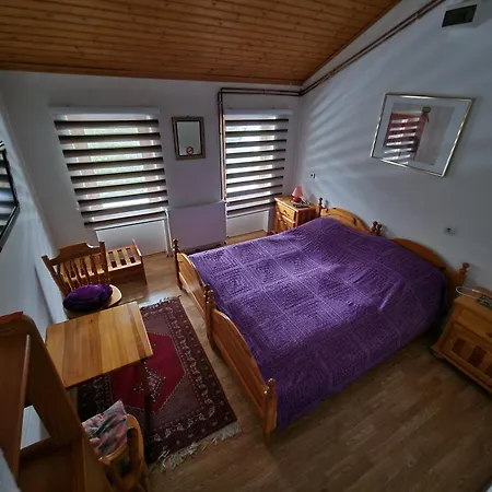 Apartman Winter Forest Vlasic