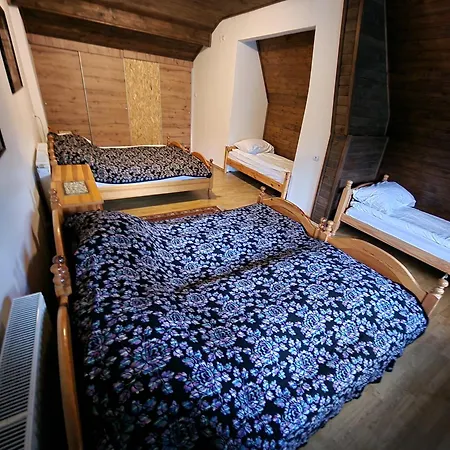 Apartman Winter Forest Vlasic
