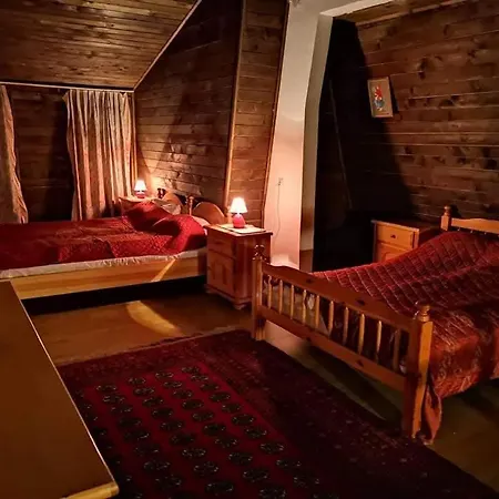 Winter Forest Vlasic Apartman