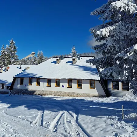 Apartman Winter Forest Vlasic