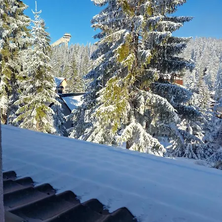 Winter Forest Vlasic Apartman *