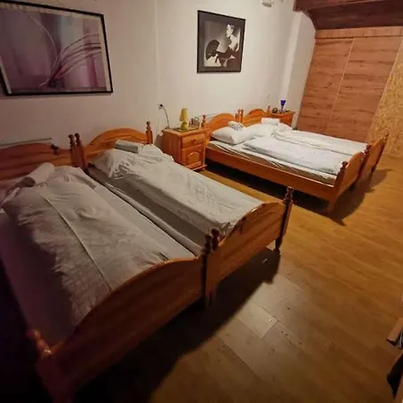 Apartman Winter Forest Vlasic
